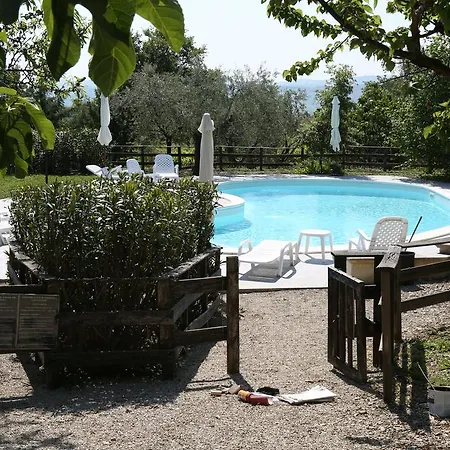 La Del Picchio Country House イン Morro dʼOro