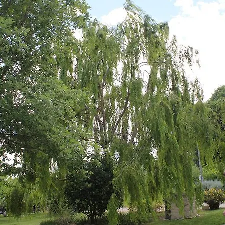 La Del Picchio Country House *