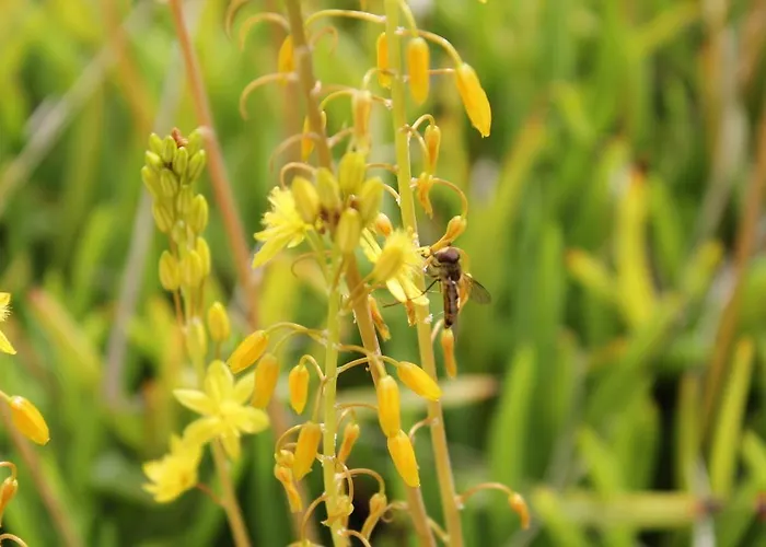 La Del Picchio Country House * Morro dʼOro