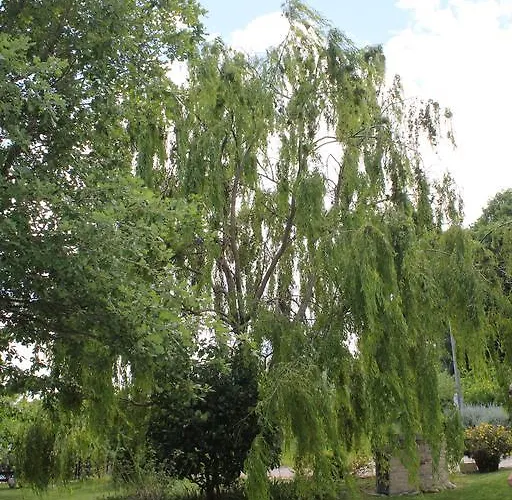 La Del Picchio Country House *